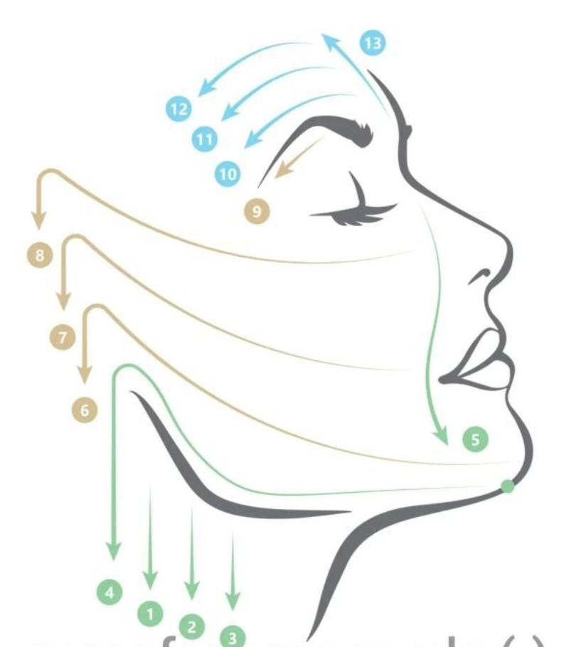 schéma microcourant visage